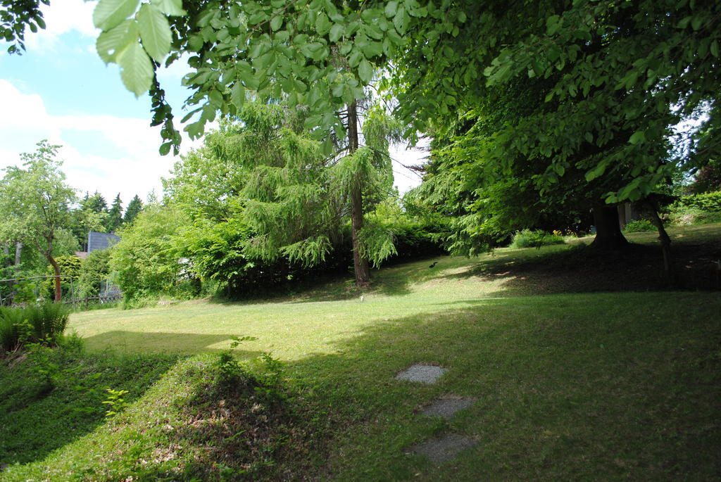 Panorama Hotel Pension Frohnau Bad Sachsa Zimmer foto